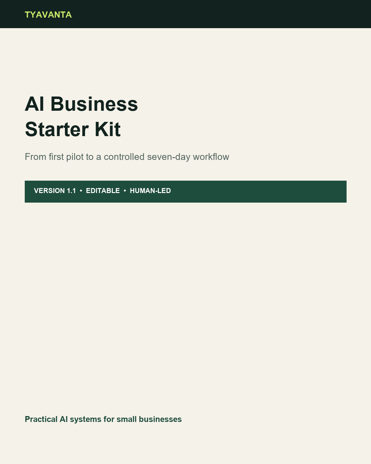 AI Business Starter Kit preview 1